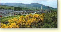 Picture: Balblair Distillery, Ross-shire