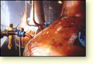 Picture: A wall of windows shows off the stills at Royal Brackla – even when they are being cleaned!