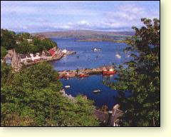 Picture: Tobermory