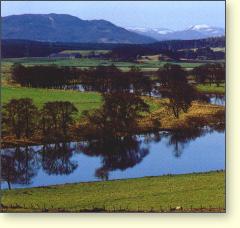 The river Spey